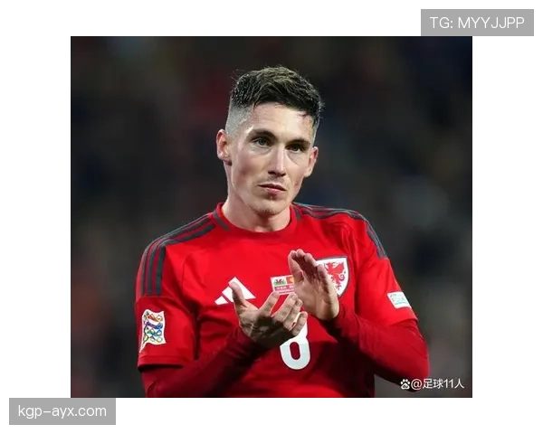 威尔士国家队防守固若金汤,延续世界杯资格赛不败纪录 威尔士国家队防守固若金汤,延续世界杯资格赛不败纪录