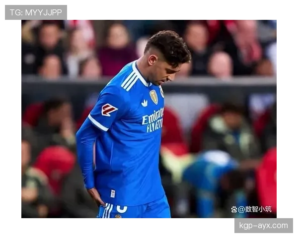 巴尔韦德伤病史详解